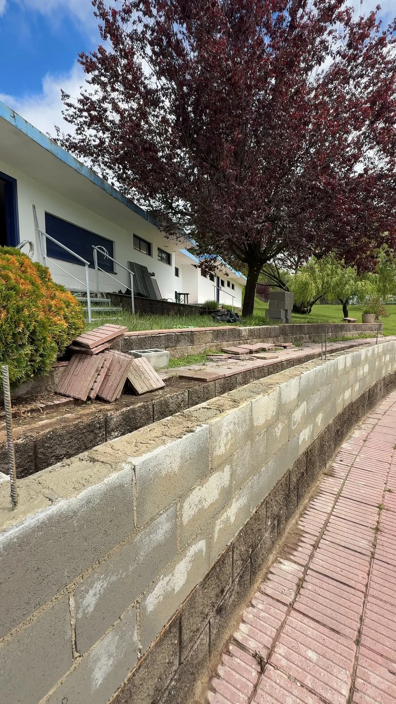 Muro de bloque de hormigón gris levantado en curva junto a un pavimento rojizo, con piezas de pavimento apiladas, un edificio blanco de detalles azules y un árbol de hojas moradas al fondo